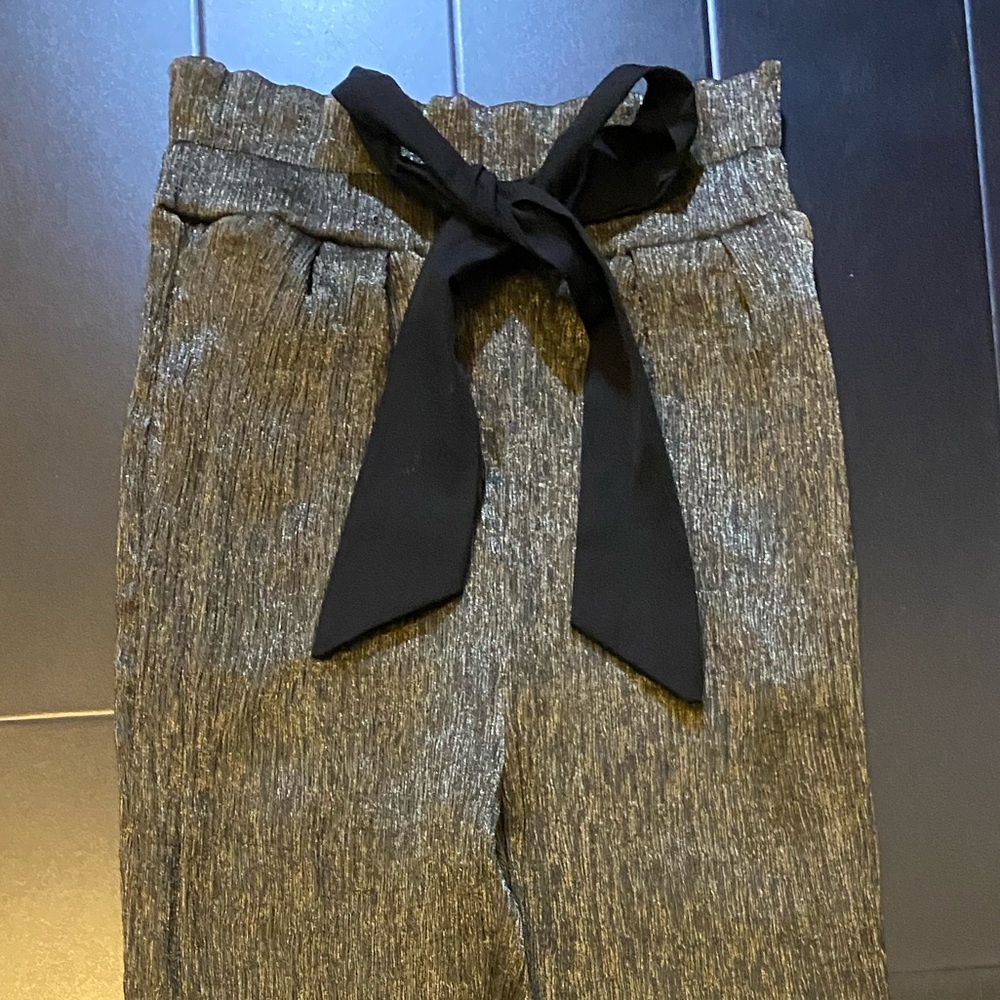 Sequin Pants - image 1